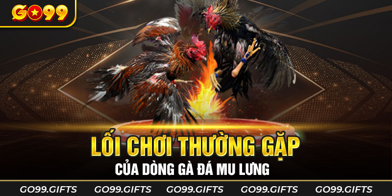 Lối chơi thường gặp của dòng gà đá mu lưng