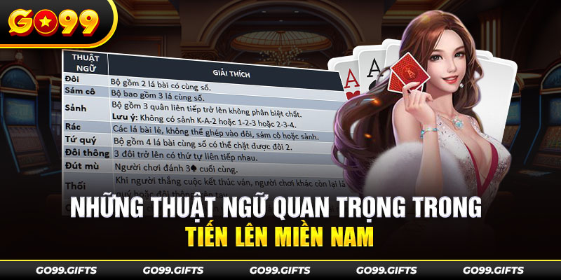 Những thuật ngữ quan trọng trong tiến lên miền Nam