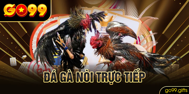 Đá gà nòi trực tiếp