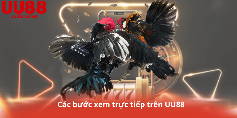 Các bước xem trực tiếp trên UU88