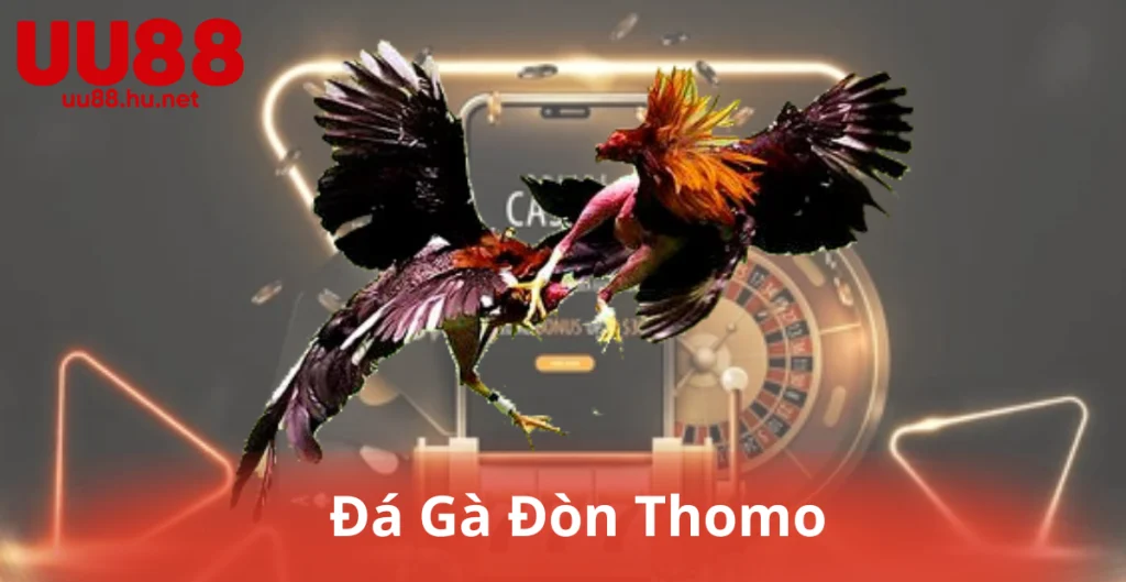 Đá Gà Đòn Thomo