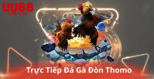 Trực Tiếp Đá Gà Đòn Thomo